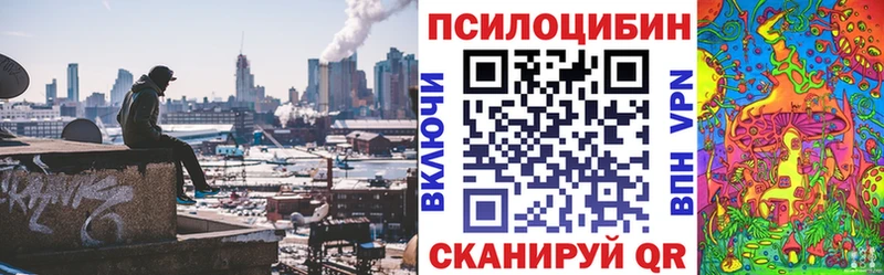 Купить закладки  Никольское  Псилоцибиновые грибы ЛСД 