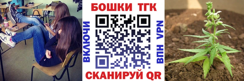 Купить закладки  Никольское  Каннабис Amnesia 